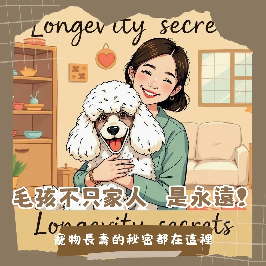 貴賓狗壽命指南:不同體型貴賓犬的平均壽命與健康照護秘訣,助毛孩長壽。