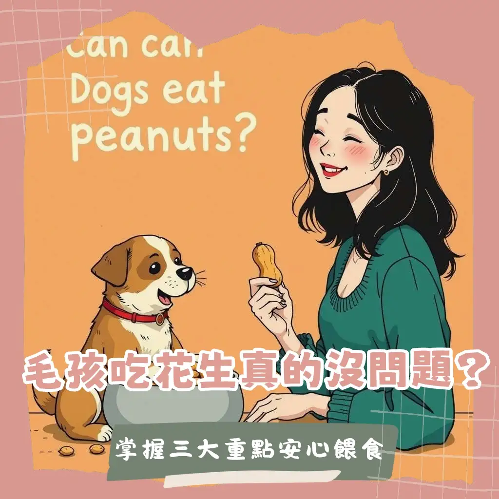 狗狗可以吃花生嗎?了解毛孩安全食用花生的指南、注意事項與好處。