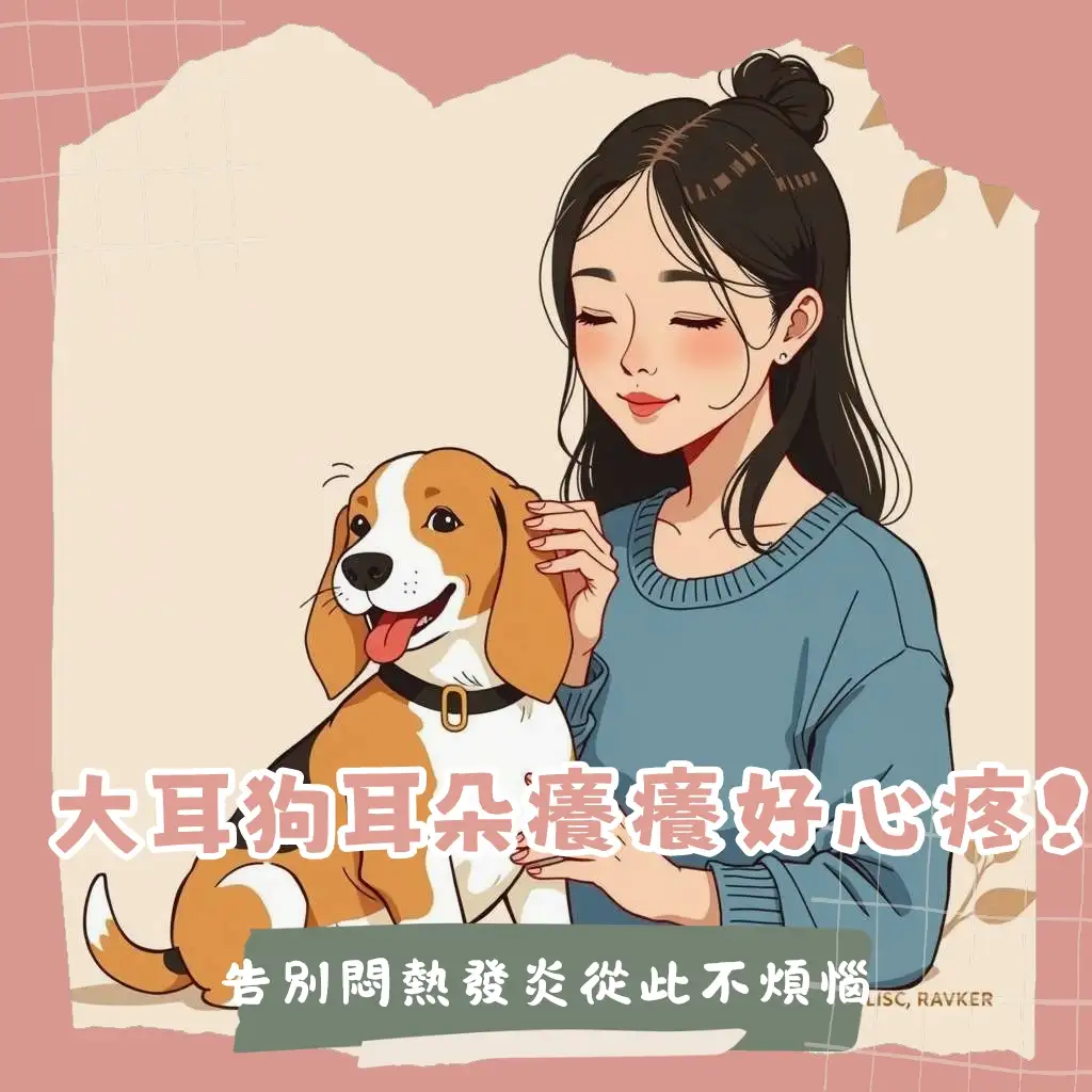 一隻可愛的垂耳米格魯，展示「大耳狗品種」的獨特外觀與日常耳部護理的重要性，預防耳道感染。