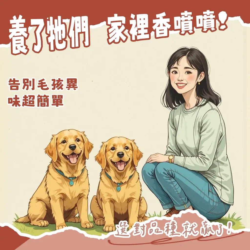 開心玩耍的貴賓犬與比熊犬，周圍散發著清新氣息，象徵沒有體味的狗狗，讓飼主能安心親近的理想陪伴，文章提供清潔護理與品種選擇指南。