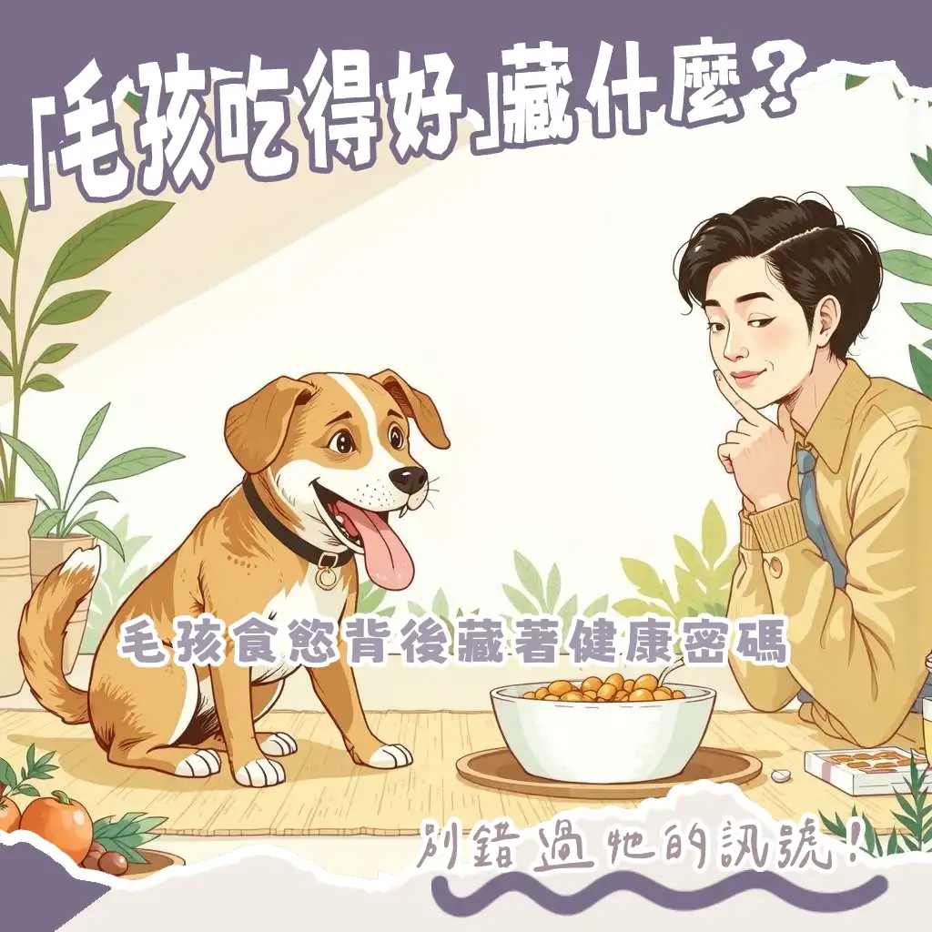 狗狗食慾好通常代表健康，圖為活潑的狗狗正在用餐，提醒飼主維持均衡飲食並留意潛在疾病徵兆。