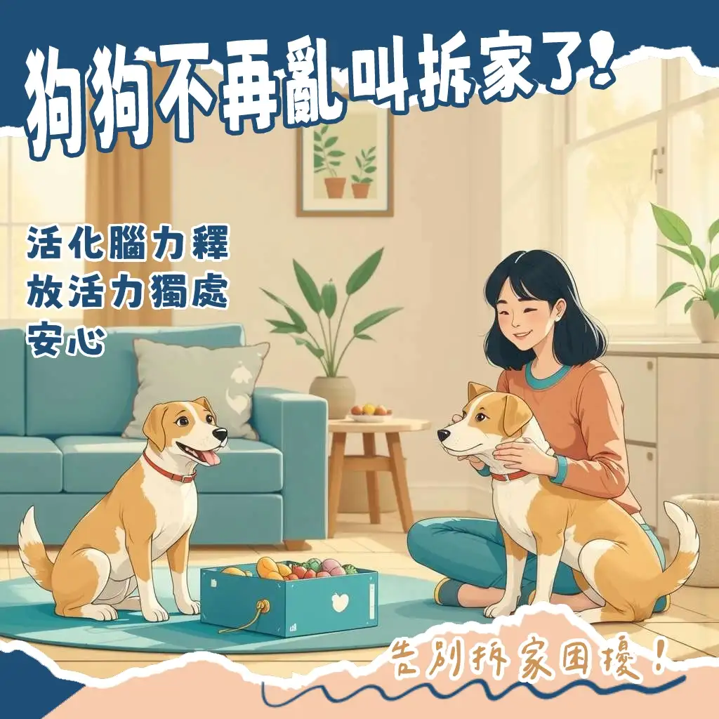 狗狗無聊玩具挑選指南,益智藏食玩具,嗅聞墊,耐咬玩具,解決行為問題。